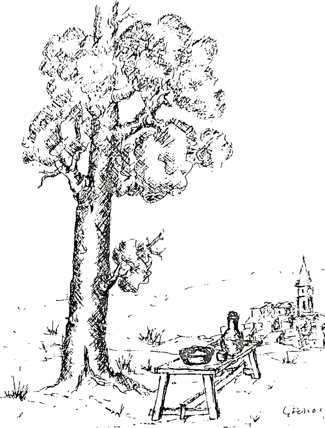Disegno a china di Giovanni Ferrari: un grande albero isolato in campagna, accanto una tavola di legno apparecchiata con una bottiglia e una zuppiera, e sullo sfondo un paese con il campanile